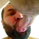 Gay Bear Giving Blowjob Webcam